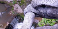 Tanim Waterfall & Magic Garden