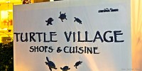 Turtle Village Shops & Cuisine